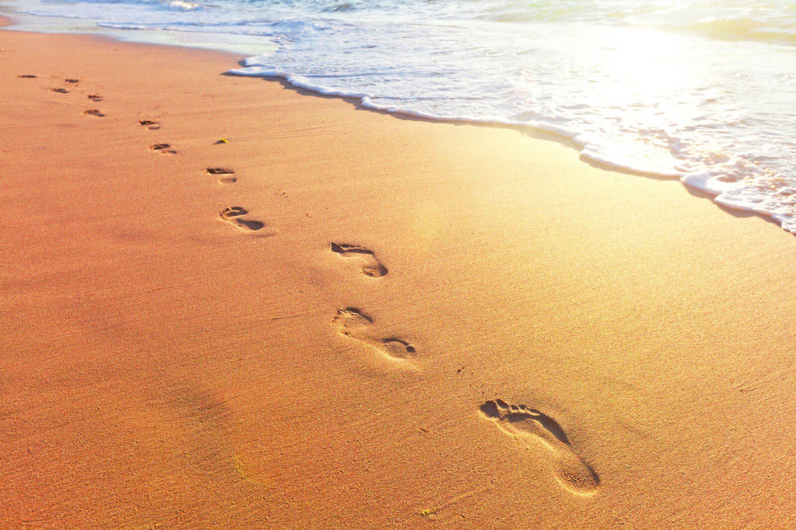Aligning Yourself with Universal Support | Zoom Online Workshop with David Essery