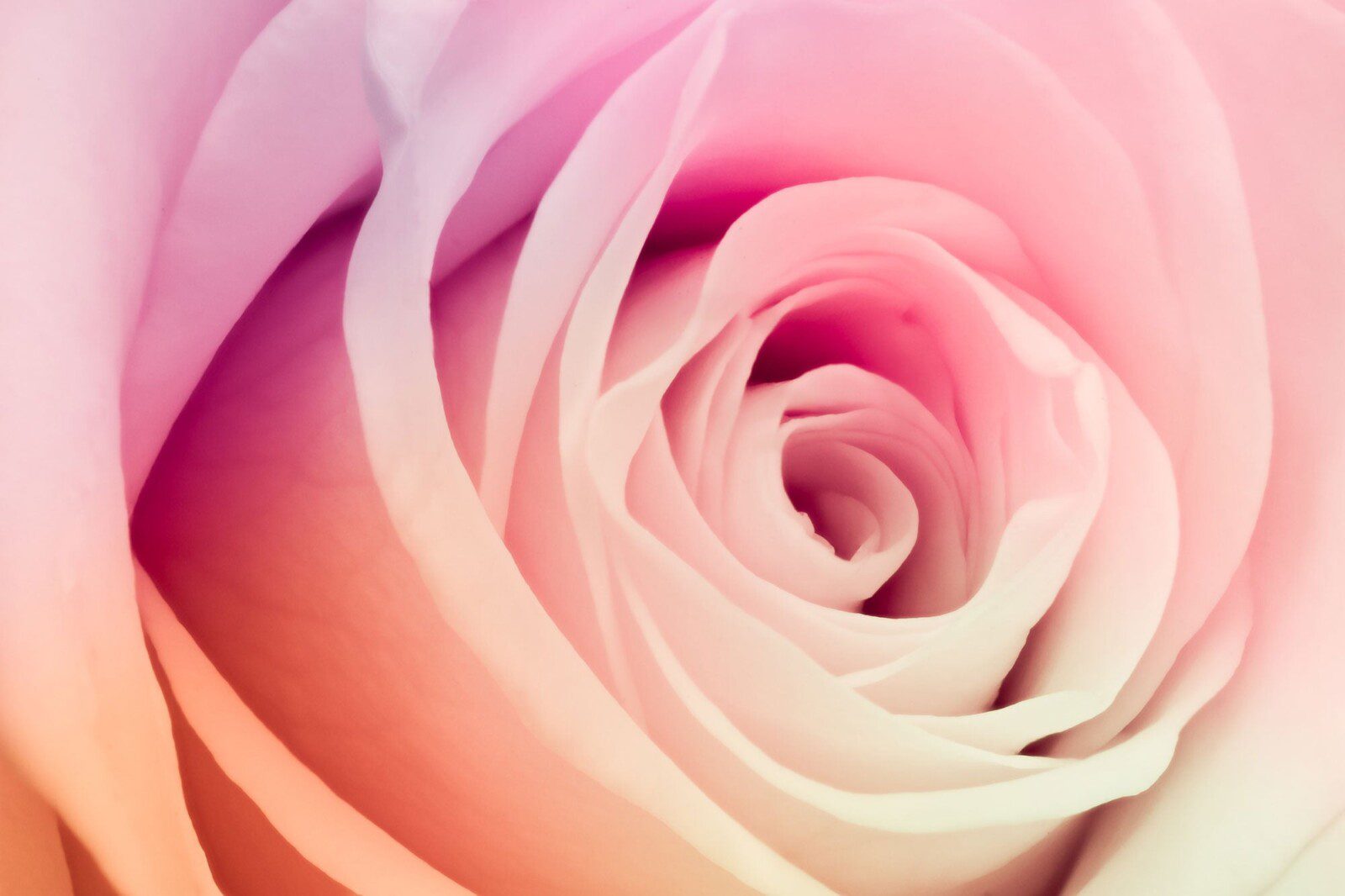 Restoring the Divine Feminine Blueprint | Online Workshop with David Essery