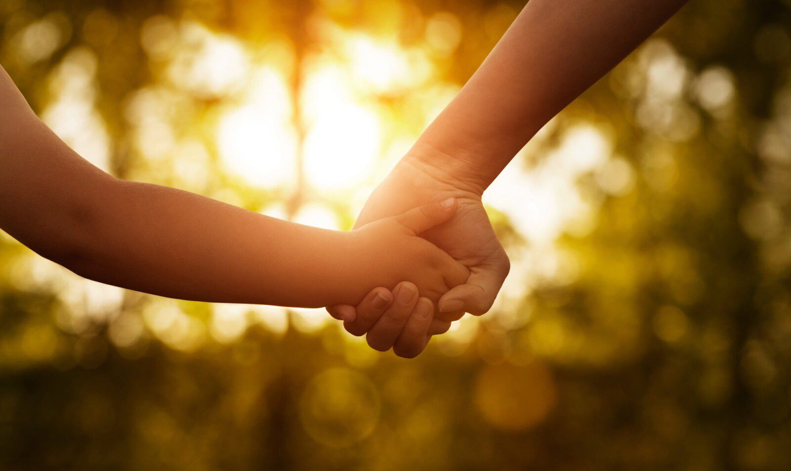 Embracing Your Inner Child | Zoom Online Workshop with David Essery