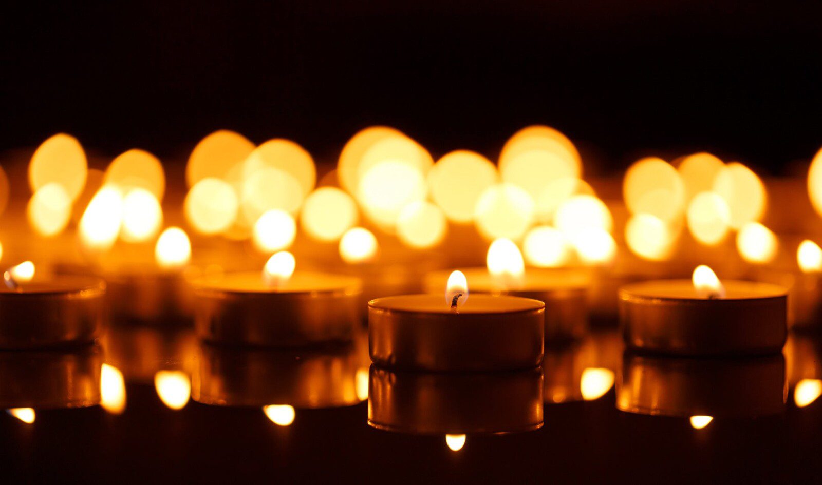 Lightworker Ascension Gathering – July 2024 | Online Workshop with David Essery