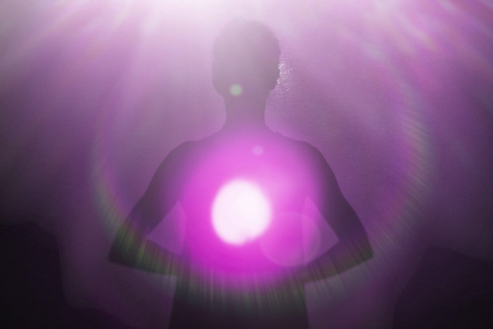 Living a Heart Open Life | Zoom Online Workshop with David Essery