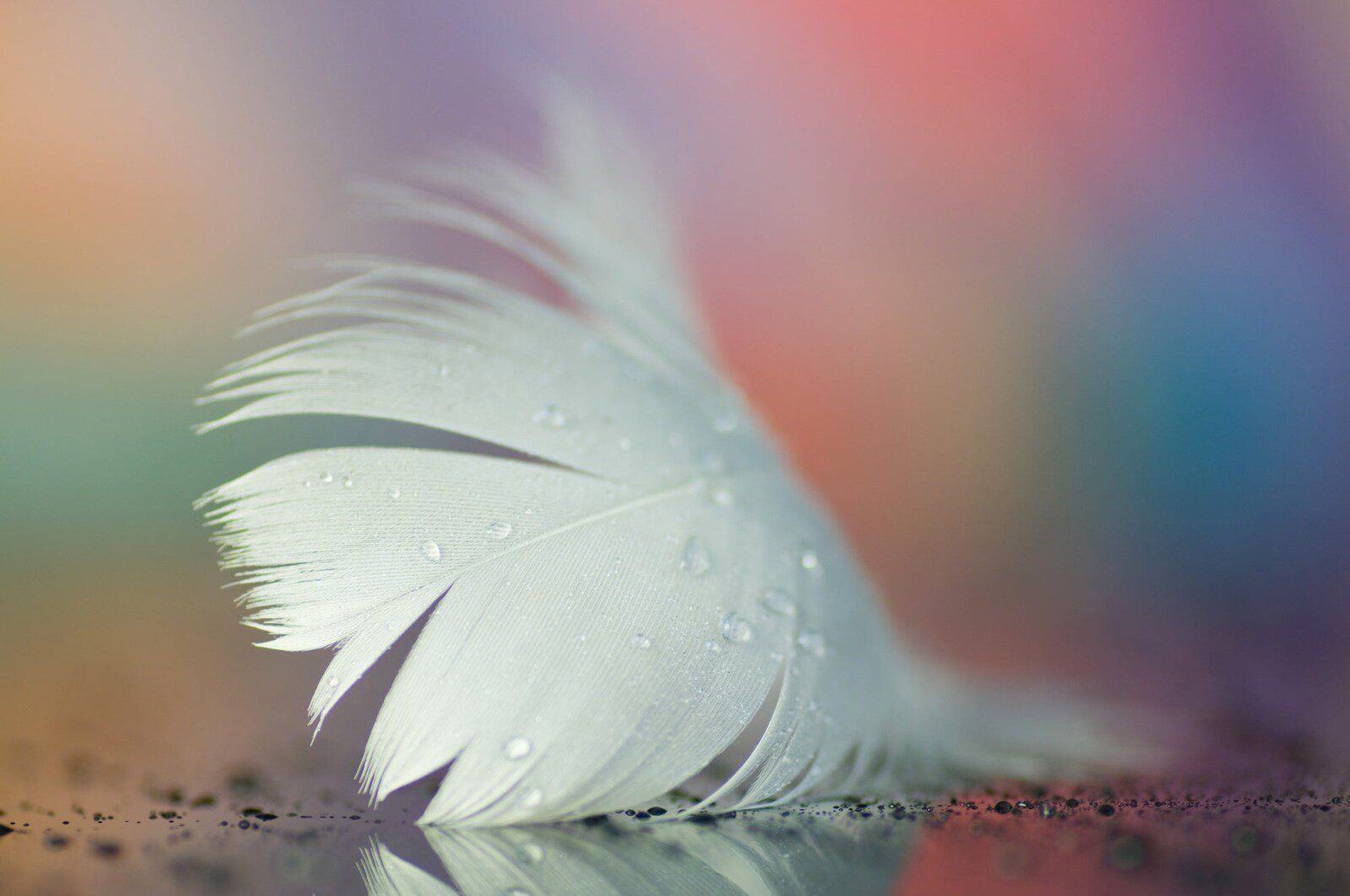 Meet Your Team of Light | Zoom Online Workshop with David Essery