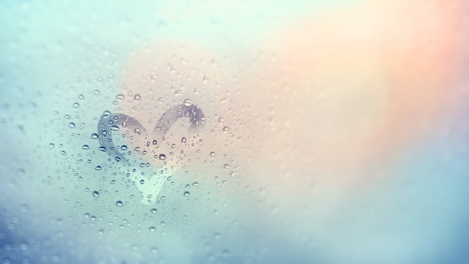 Reflections on Self Love | Zoom Online Workshop with David Essery and Tim Whild