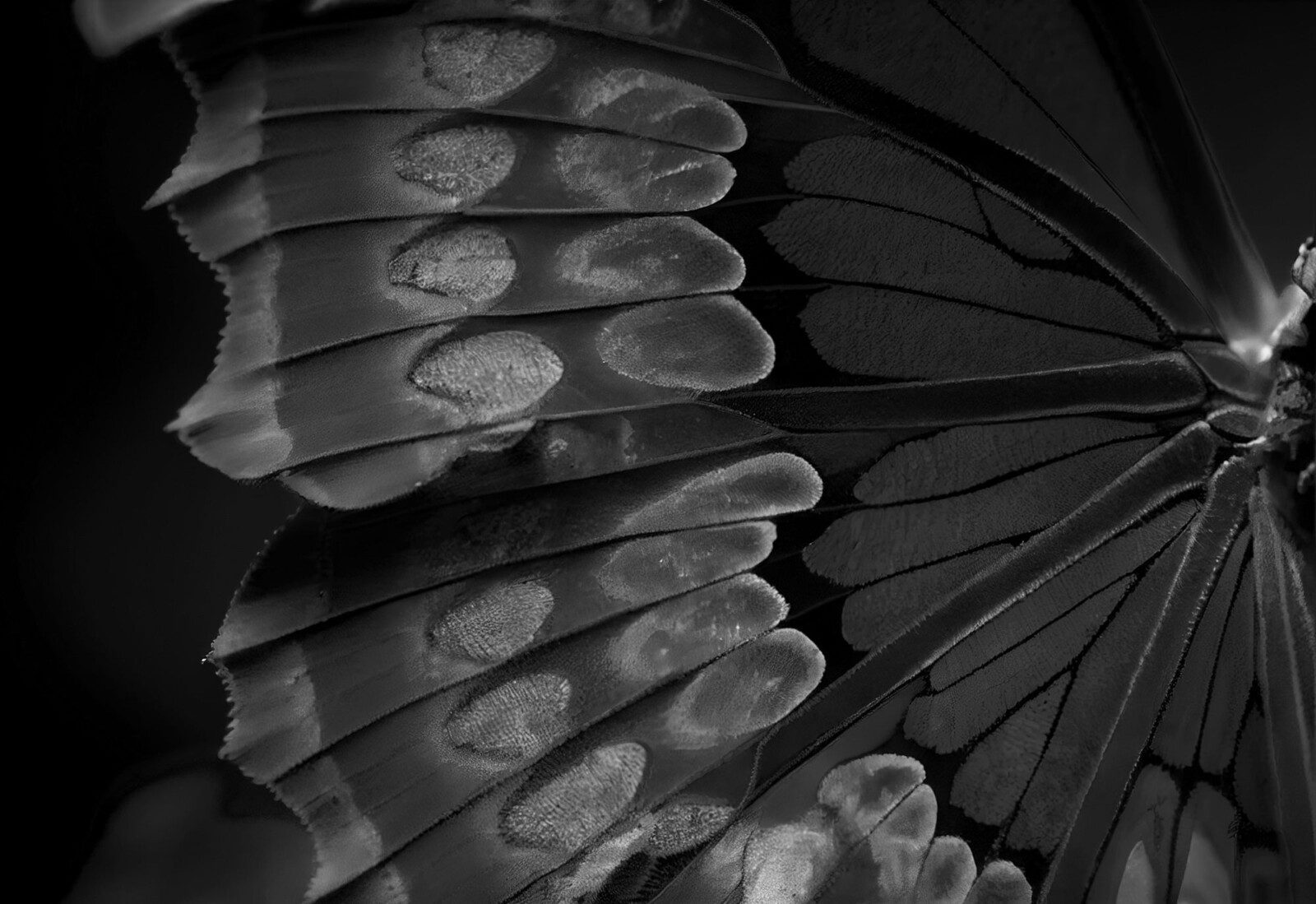 The Great Release with Archangel Azrael | Online Workshop with David Essery